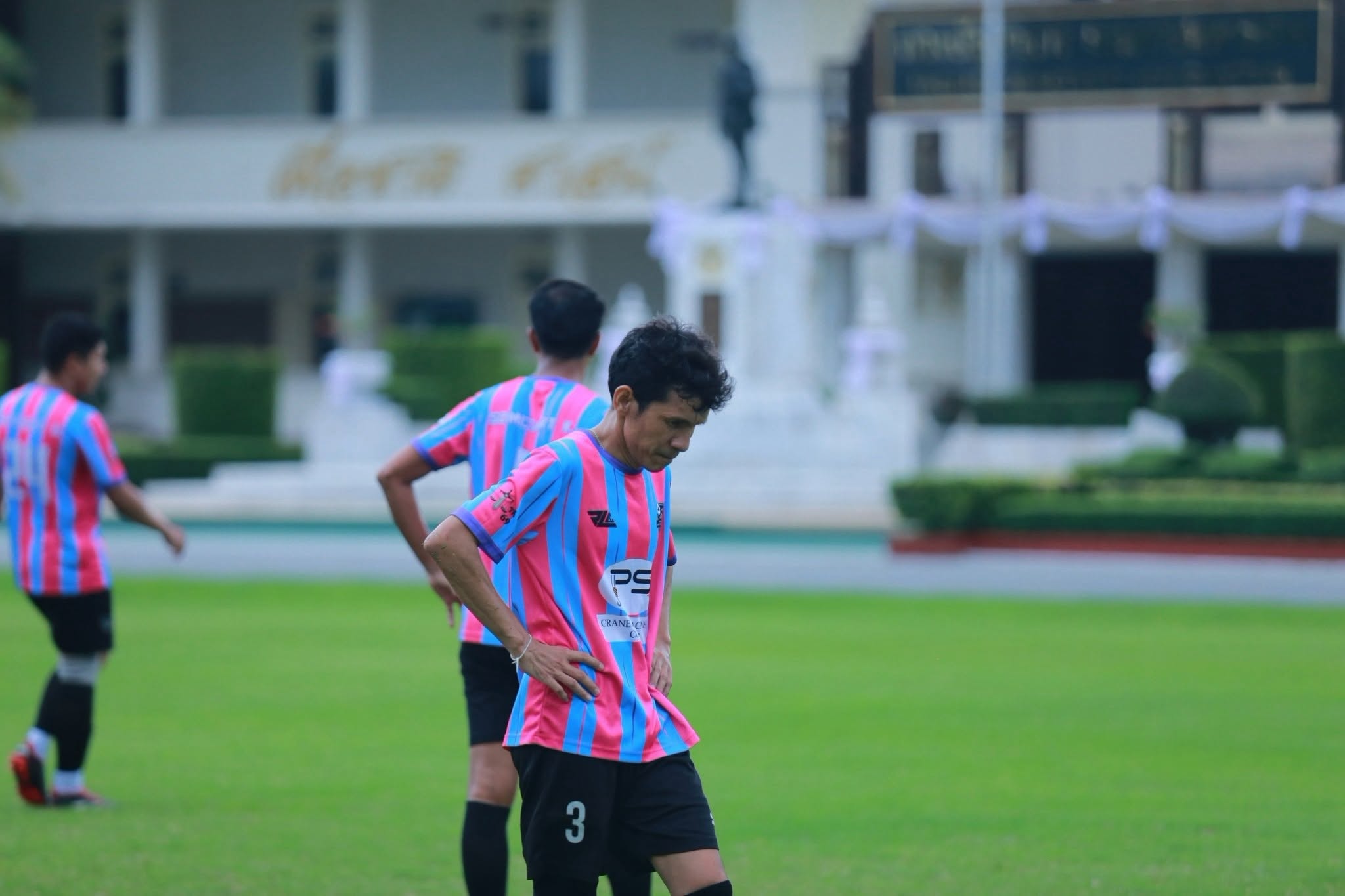 ภาพกิจกรรม